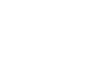 Evolution games at Bit Dice Casino